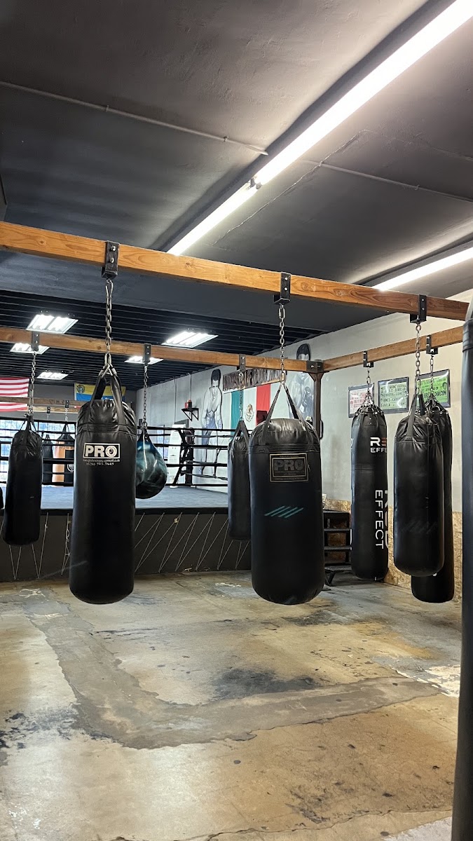 Heavy bags on the gym floor at House of Boxing
